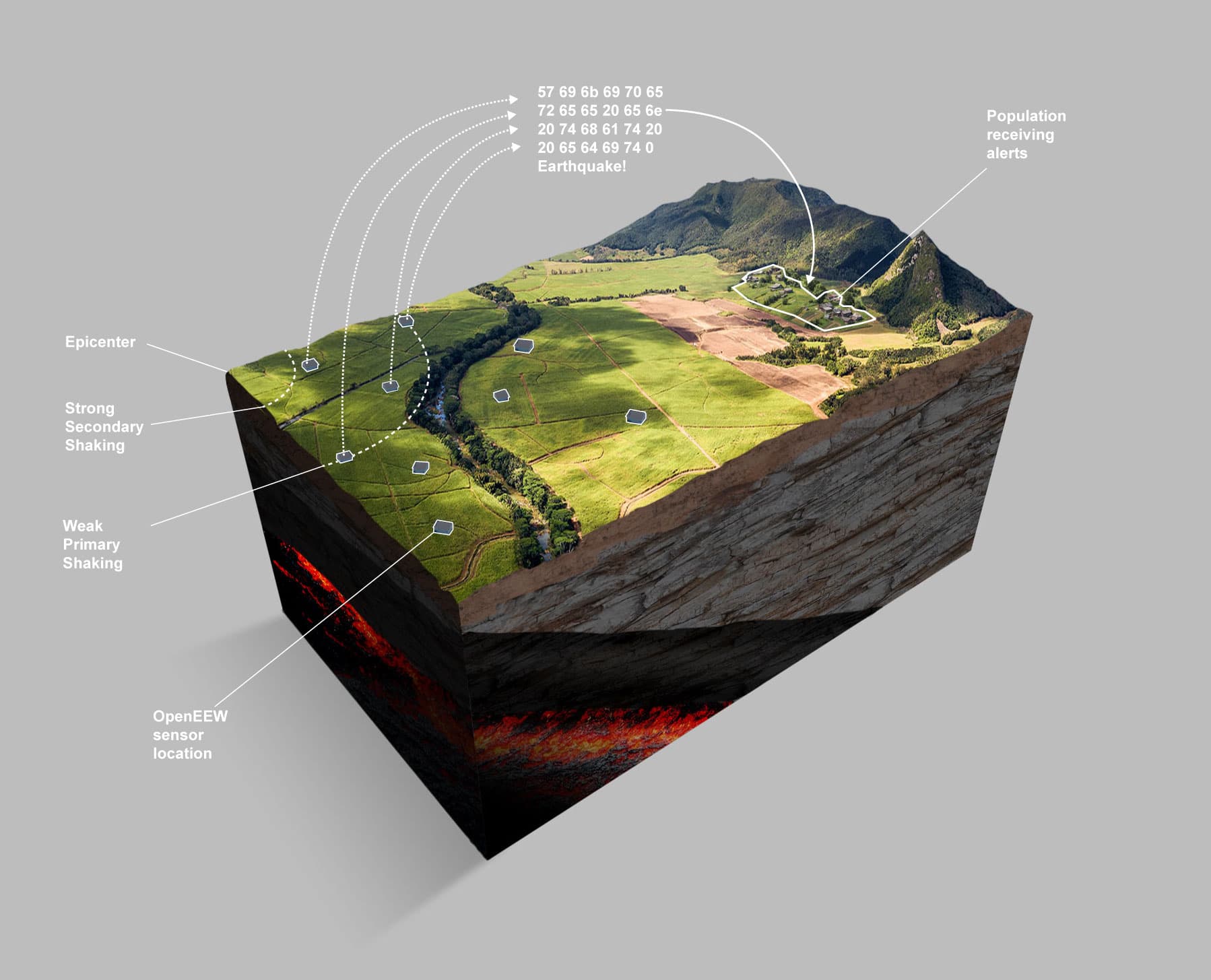 Project image